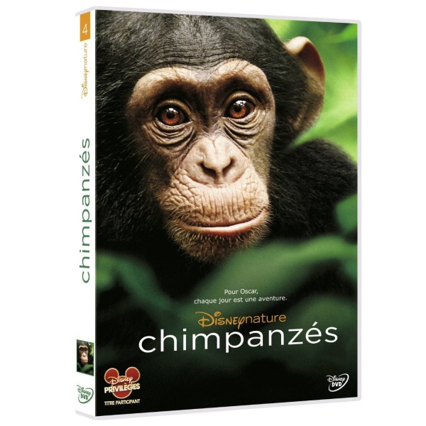 DVD Chimpanzés - Disney-DFA0057522