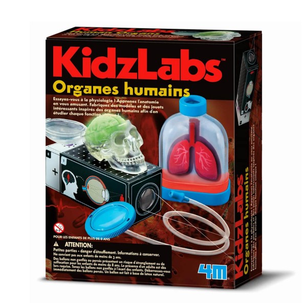 Kit de fabrication Kidzlabs : Organes humains - Dam 4M-5663374