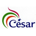 César