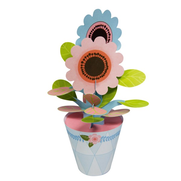 Coffret créatif Happy Mandarine Box : Petites plantes - Mandarine-KC010O