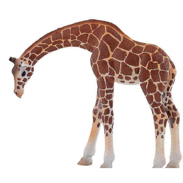 Figurine Girafe - Bullyland-B63668
