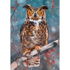 Great Horned Owl, Puzzle 500 pieces 
