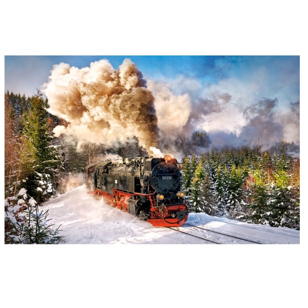 Puzzle 1000 pièces : Le train à vapeur - Castorland-103409-2