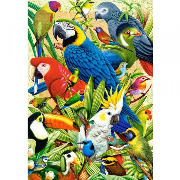 Puzzle 1000 pièces : Oiseaux du monde - Castorland-103041