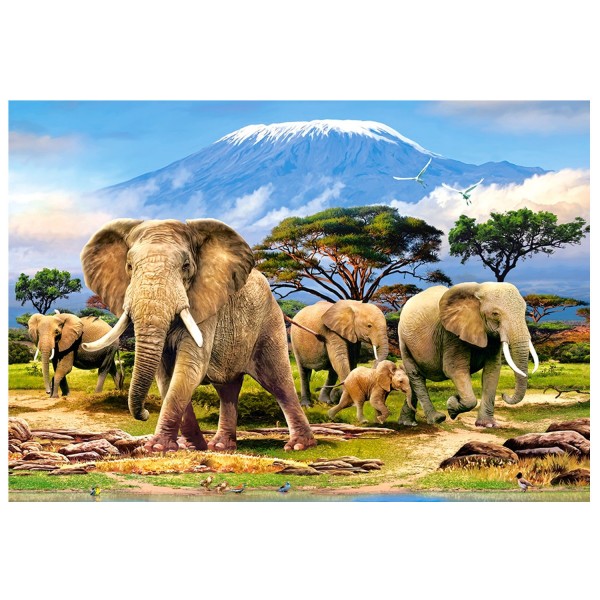 Puzzle 1000 pièces : Réveil matinal près du Kilimanjaro - Castorland-C-103188-2