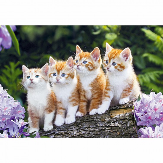 castorland chat Castorland puzzle 509 likes 2 talking about this čudovita darila. castorland chat Castorland puzzle 509 likes 2 talking about this čudovita darila.