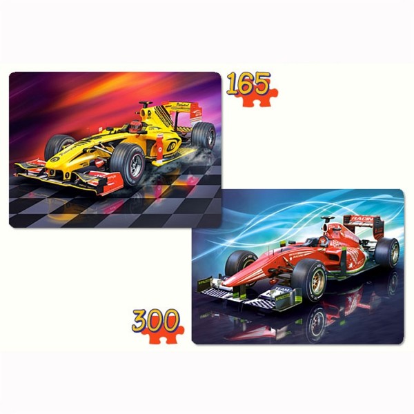 Puzzle 165 et 300 pièces : Formules - Castorland-021123