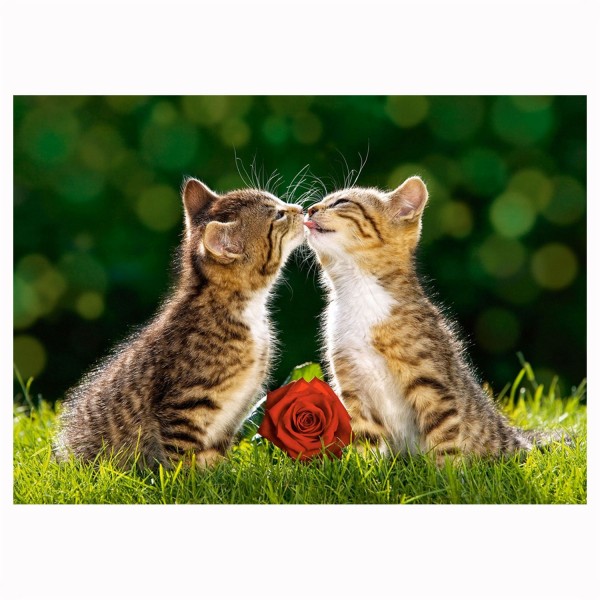 Puzzle 500 pièces : Bisous de chatons - Castorland-51625