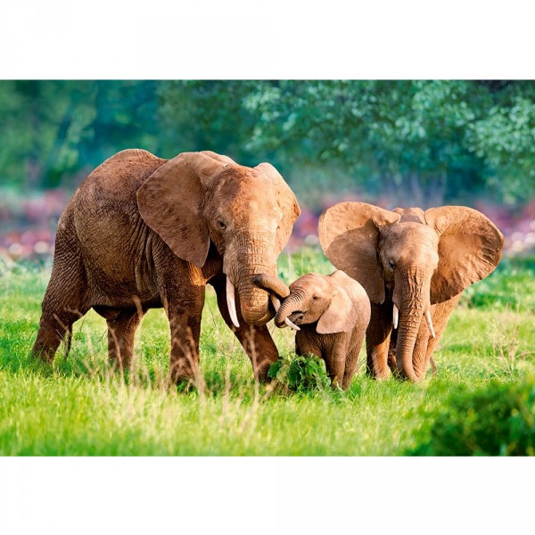 Puzzle 500 pièces : Famille d'éléphants - Castorland-52196