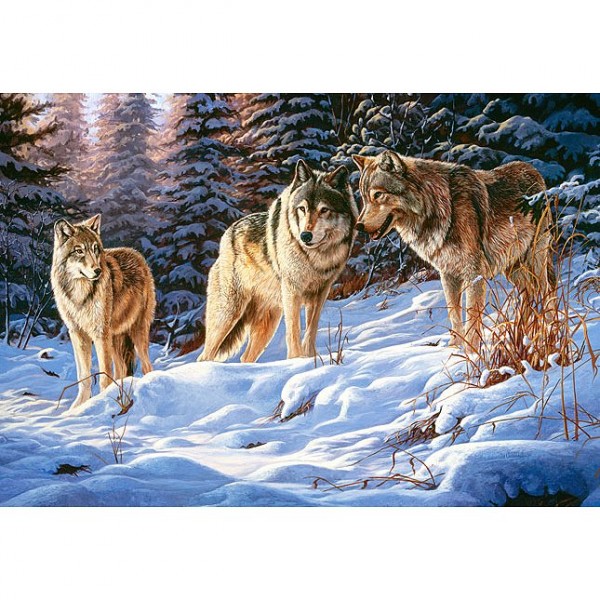 Puzzle 500 pièces : Loups dans la neige - Castorland-51793