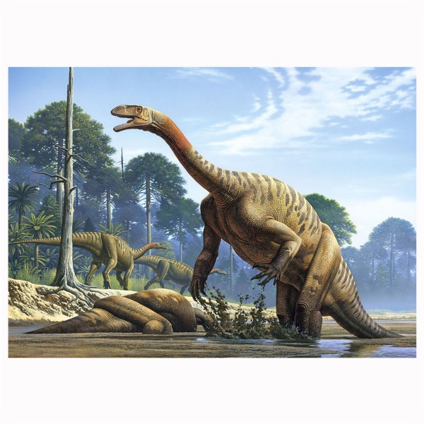 Puzzle 500 pièces : Plateosaurus - Castorland-51939