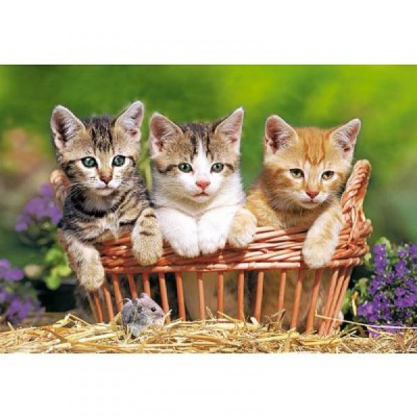 Puzzle 500 pièces - Trois petits chatons - Castorland-51168