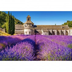 1000 Teile Puzzle: Lavendelfeld in der Provence, Frankreich