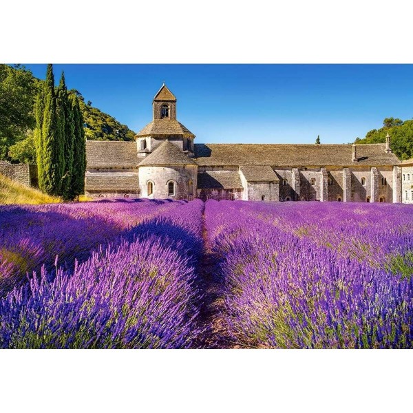 1000 Teile Puzzle: Lavendelfeld in der Provence, Frankreich - Castorland-C-104284-2