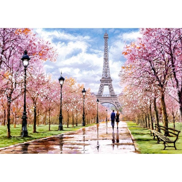 Puzzle 1000 pièces : Une romantique balade dans Paris - Castorland-C-104369-2