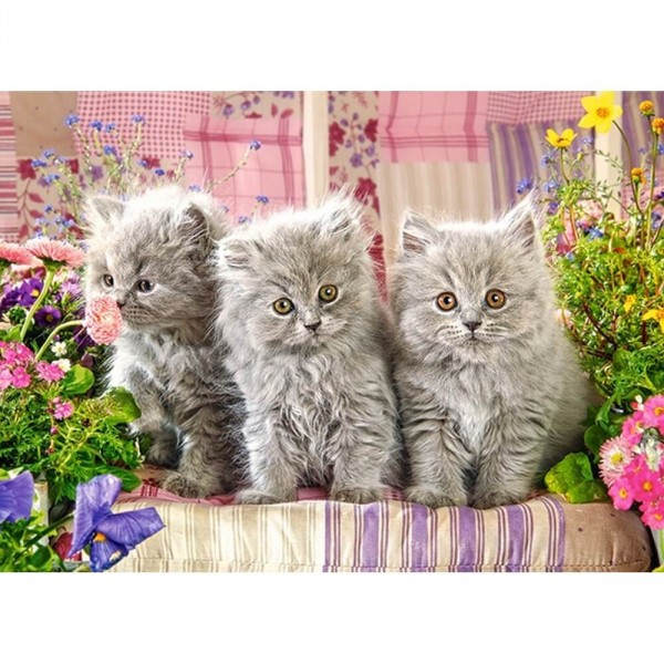 Puzzle 300 pièces : trois petits chatons gris - Castorland-030330