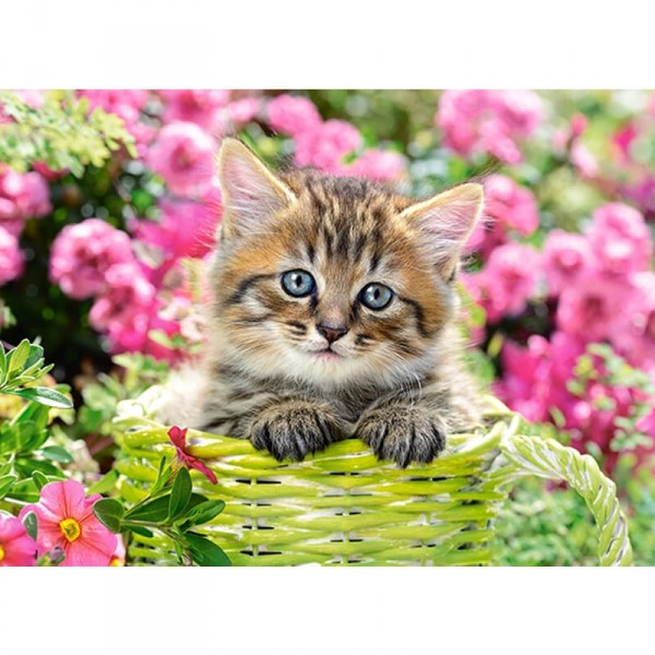 Kitten in Flower Garden - Puzzle 100 Pieces - Castorland - Castorland-B-111039