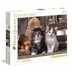 1000 pieces puzzle: kittens
