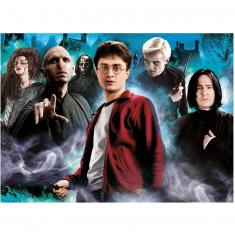 1000 pieces puzzle: Harry Potter