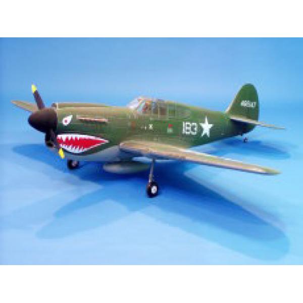 P-40 WARHAWK (108) ARTF - jp-5500845