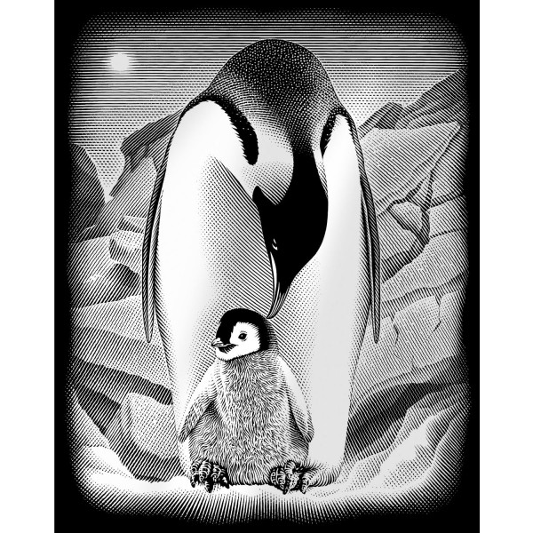 Garvure argentée : Pingouins - ColArt-030426