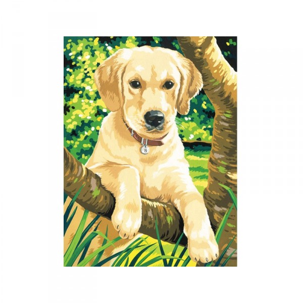 Peinture à numéro : Labrador - ColArt-691210