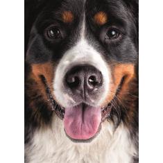 furry dog 300 xl puzzle new