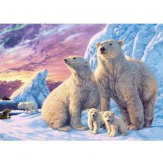 1000 Teile Puzzle: Geheime Sammlung: Eisbären