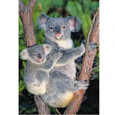 Puzzle 500 pièces : Koalas dans l'arbre