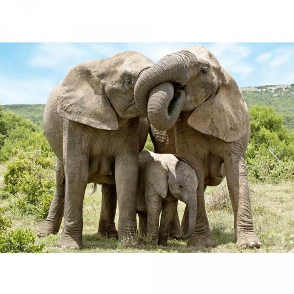 1000 pieces Puzzle : Elephant family - Dino-532953