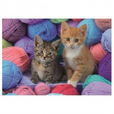 Puzzle 300 pièces XL : chatons