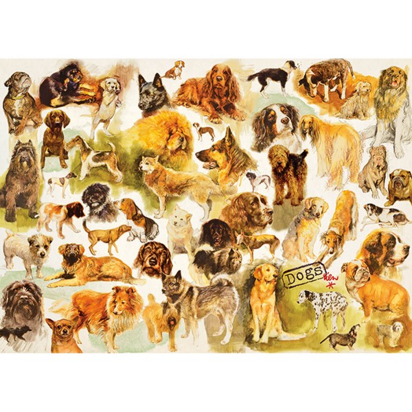 Puzzle 1000 pièces : Poster chien - Diset-18596
