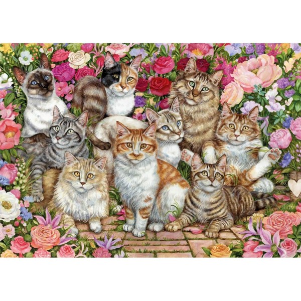 Puzzle 1000 pièces : Les chats aux fleurs - Diset-11246