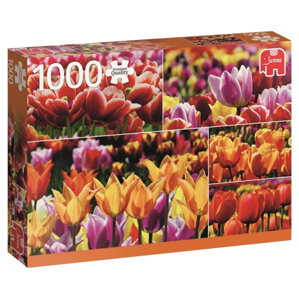 Puzzle 1000 pièces : Tulipes de Hollande - Diset-18364