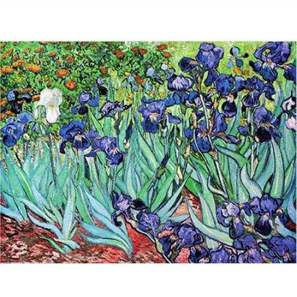 Puzzle 1000 pièces - Van Gogh : Iris - Dtoys-66916VG03