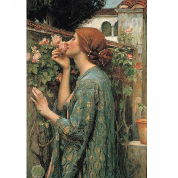 Puzzle 1000 pièces : John William Waterhouse : L'âme de la rose - Dtoys-72757WA04