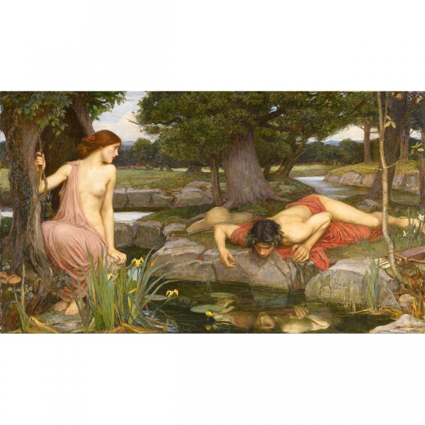 Puzzle 1000 pièces : John William Waterhouse : Echo et Narcisse - Dtoys-72757WA02