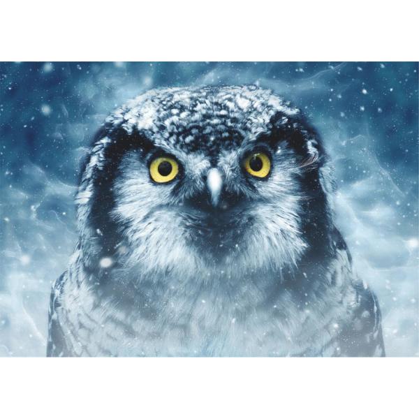 1000 pieces puzzle: Animals: Owls  - Dtoys-75727