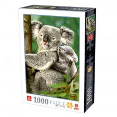 1000 Teile Puzzle: Tiere: Koalas 