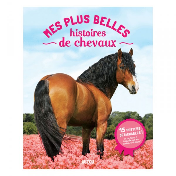 Livre-posters : Mes plus belles histoires de chevaux 2014 - Auzou-AU2802
