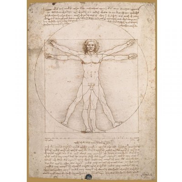 Puzzle 1000 pièces - Léonard de Vinci : Proportions du corps humain - Ricordi-09650