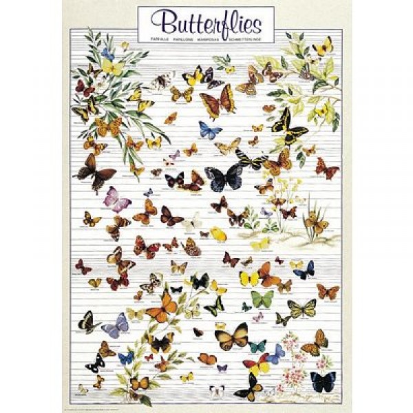 Puzzle 1000 pièces - Les papillons - Ricordi-58041