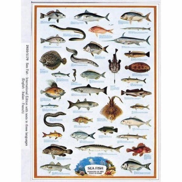 Puzzle 1000 pièces - Les poissons de mers - Ricordi-58043