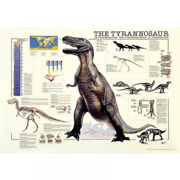 Puzzle 1000 pièces - Science : Le Tyrannosaure - Ricordi-58045