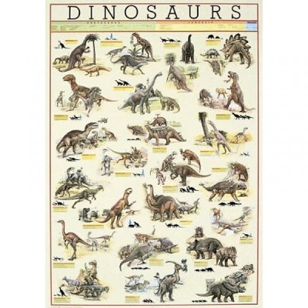Puzzle 1000 pièces - Science : Les dinosaures - Ricordi-58020