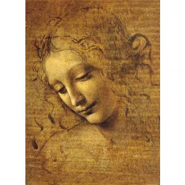 Puzzle 1500 pièces - Léonard de Vinci : Visage de Giovane Fanciulla - Ricordi-2901N16184