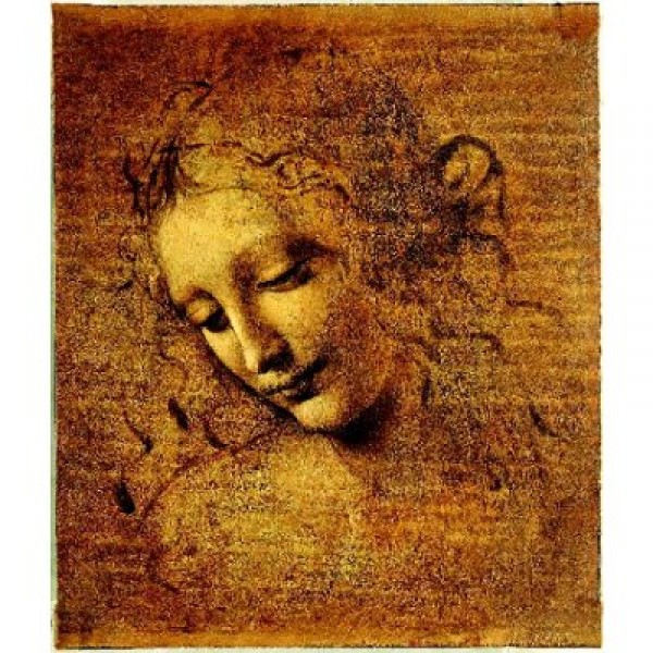 Puzzle 2000 pièces - Léonard de Vinci : Visage de Giovane Fanciulla - Ricordi-16048
