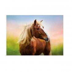 PUZZLE 500 PIECES : CHEVAL AU LEVER DU SOLEIL