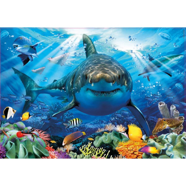 500 pieces puzzle: Great white shark - Educa-18478