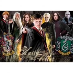 Puzzle 1000 pièces : Harry Potter